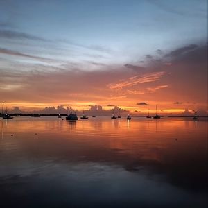 Meet your Posher, Ramona